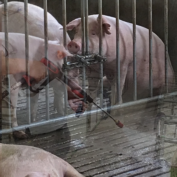 养殖场猪舍高压清洗方案