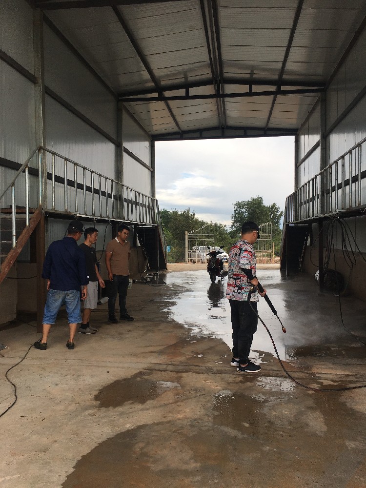 生猪运输车辆洗消中心